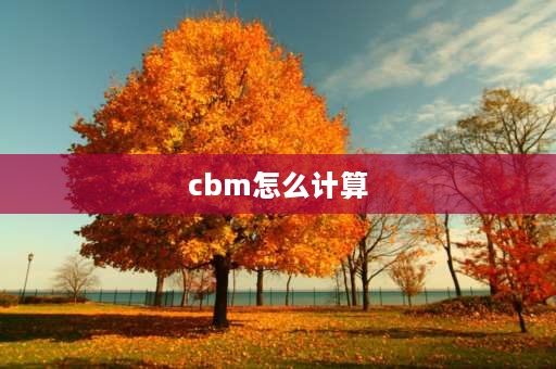 cbm怎么计算 外贸术语：cbm是什么意思？