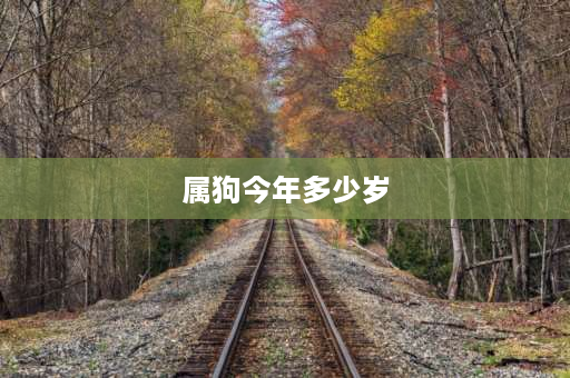 属狗今年多少岁 2023年52岁属啥的？