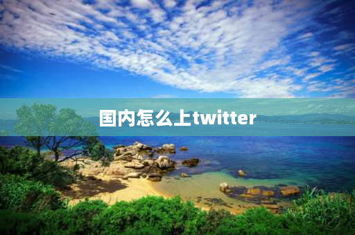 国内怎么上twitter 怎么在推特或者飞机上找到会中文的外国美女？