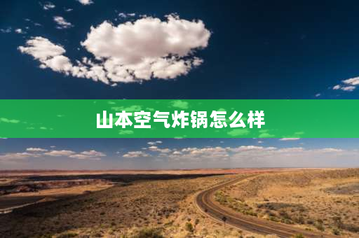 山本空气炸锅怎么样 山本空气炸锅哪个型号性价比高？