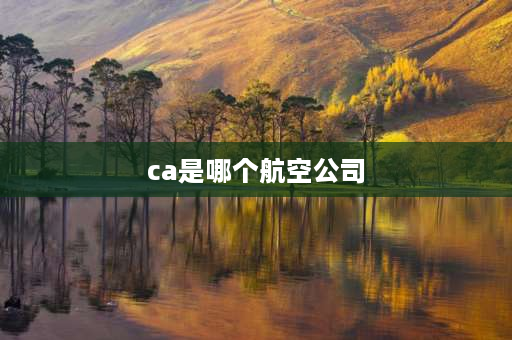 ca是哪个航空公司 为什么CA是国航？