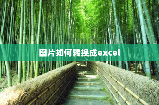 图片如何转换成excel 怎么把图片数据转换成excel？