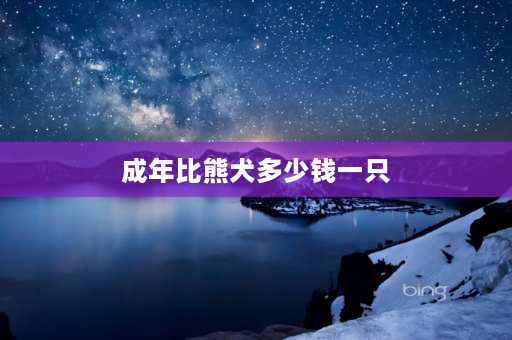 成年比熊犬多少钱一只 比熊一斤六两正常吗？