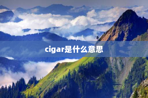 cigar是什么意思 room是什么保险丝？