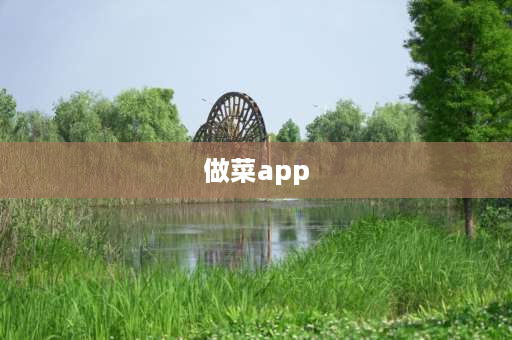 做菜app 上门做菜的app哪个好？