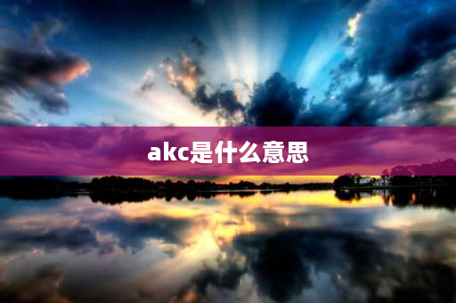 akc是什么意思 CKU与NGKC的区别？