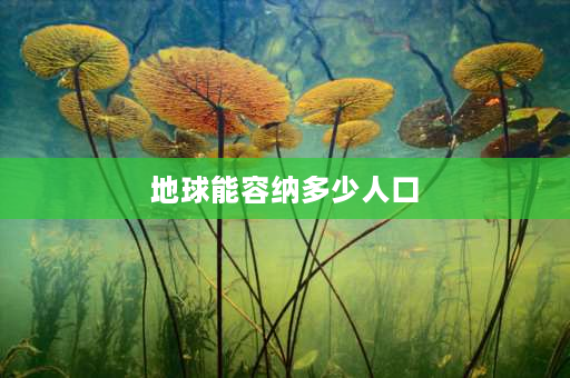 地球能容纳多少人口 全世界大约有多少人口？