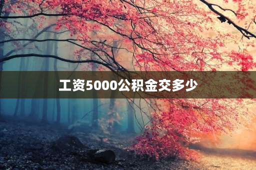 工资5000公积金交多少 5000底薪公积金要交多少？