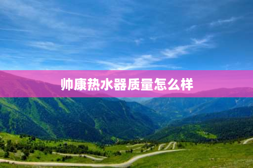 帅康热水器质量怎么样 听朋友说帅康燃气热水器质量是现在最好的，是真的吗？