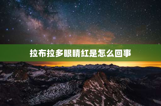 拉布拉多眼睛红是怎么回事 是怎么了？拉布拉多眼红？