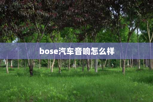 bose汽车音响怎么样 BOSE和SONY汽车音响哪个好？