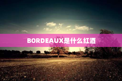 BORDEAUX是什么红酒 magical是什么牌子的红酒？