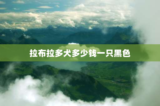 拉布拉多犬多少钱一只黑色 中国黑犬排名？