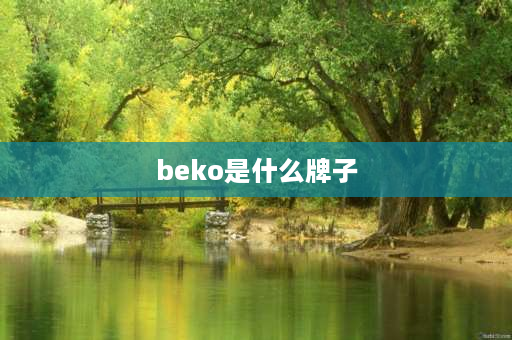 beko是什么牌子 beko冰箱质量好吗？