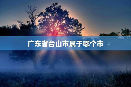 广东省台山市属于哪个市 广东台山一共有多少个乡镇？