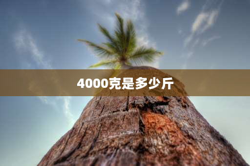 4000克是多少斤 4000克多少斤？