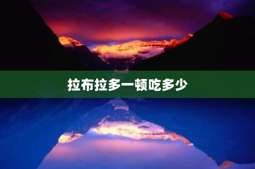 拉布拉多一顿吃多少 拉布拉多幼犬一次喂多少？