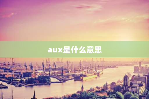 aux是什么意思 AUX是什么意思？