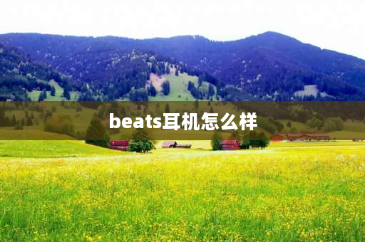 beats耳机怎么样 beats耳机音质怎么样？