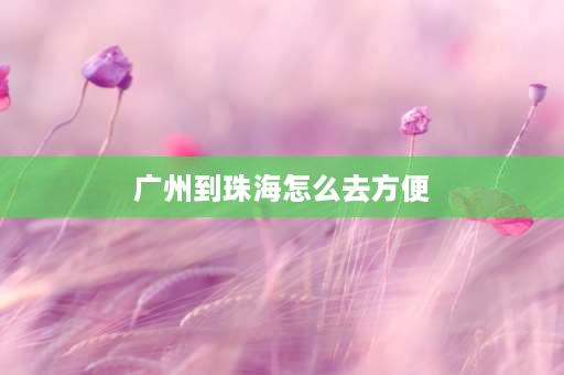 广州到珠海怎么去方便 从广州火车站有几种方法去珠海唐家湾镇？