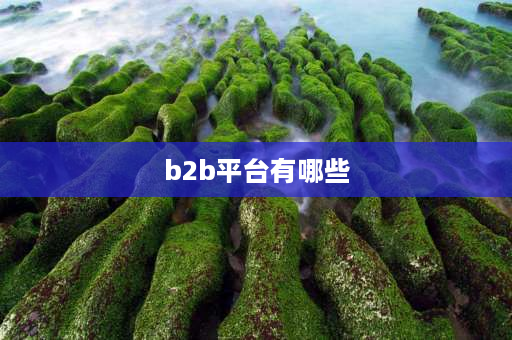 b2b平台有哪些 国内有哪些著名的B2B网站？