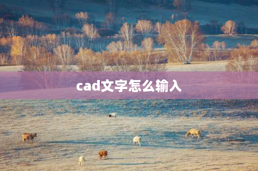 cad文字怎么输入 CAD上文字怎么输入？