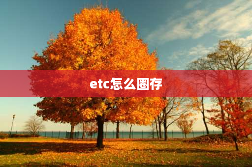 etc怎么圈存 etc未圈存怎么解决？