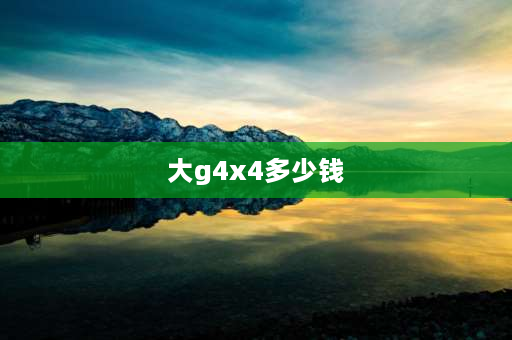 大g4x4多少钱 大g和4x4有啥区别？