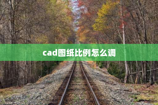 cad图纸比例怎么调 cad图纸比例怎么调1：1000？