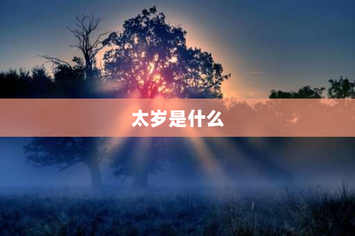 太岁是什么 太岁是什么意思？