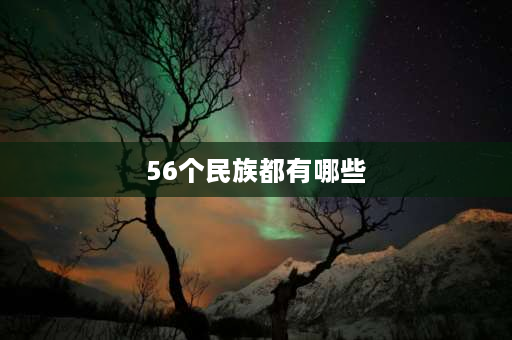 56个民族都有哪些 56个民族分别有哪些？