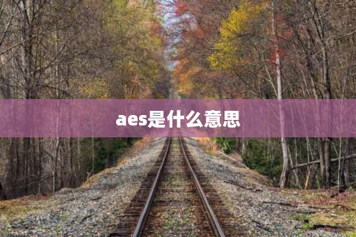 aes是什么意思 热水器AES功能是什么意思？