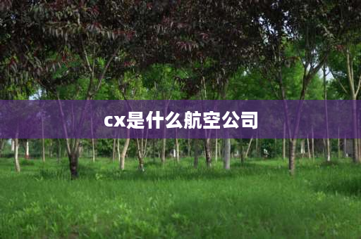 cx是什么航空公司 5c是哪个航司？