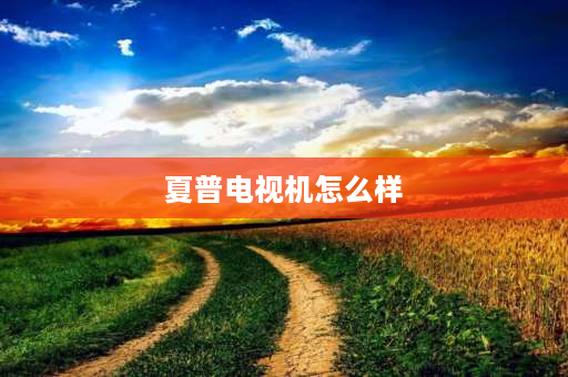 夏普电视机怎么样 夏普电视怎么样？