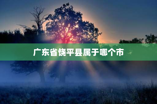 广东省饶平县属于哪个市 广东省饶平县是由什么市区管的？