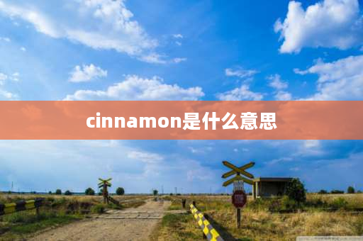 cinnamon是什么意思 veggie是什么意思？