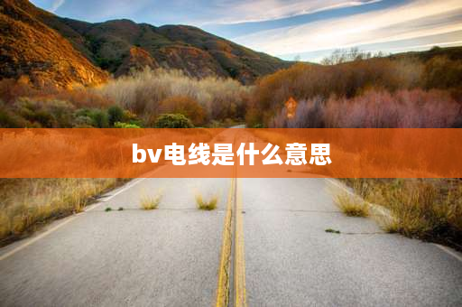 bv电线是什么意思 bv电线什么意思？