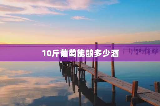 10斤葡萄能酿多少酒 10斤葡萄要几斤酒泡？