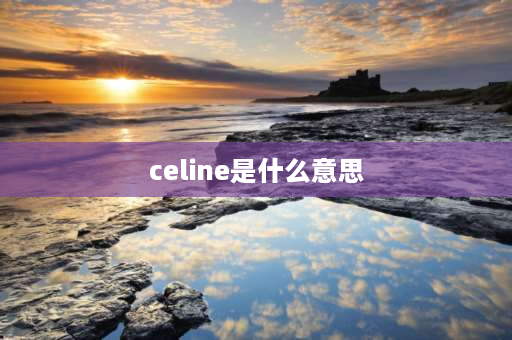 celine是什么意思 tote bag是什么品牌？