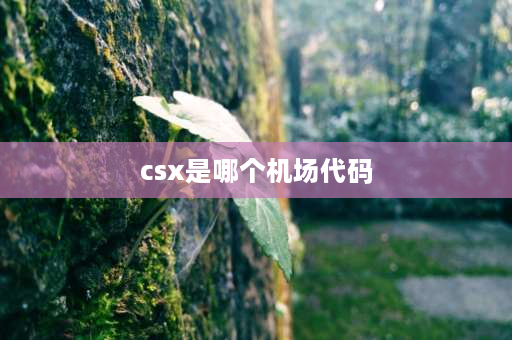 csx是哪个机场代码 物流里的CTU是什么意思？