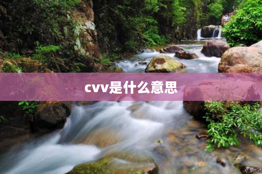 cvv是什么意思 vcv和ccv的全称？