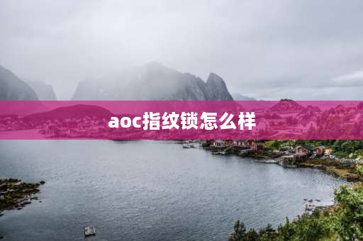 aoc指纹锁怎么样 aoc智能锁是杂牌吗？