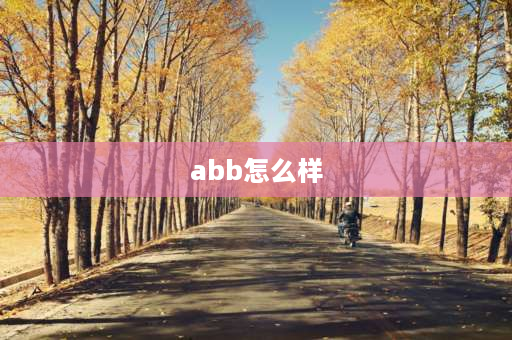 abb怎么样 abb开关怎么样啊？