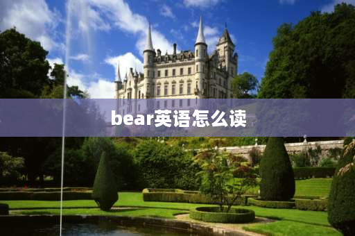 bear英语怎么读 动物用英语怎么读？