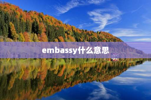 embassy什么意思 车牌ep有什么含义？