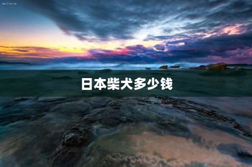 日本柴犬多少钱 柴犬生长周期？