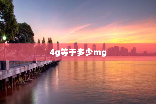 4g等于多少mg 4 gm是多重？