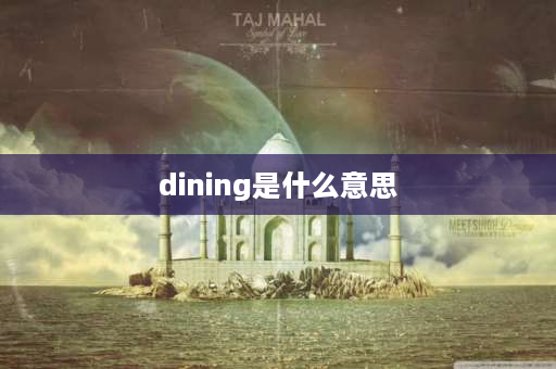 dining是什么意思 dining room是什么词性？