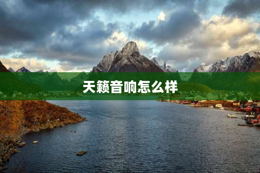 天籁音响怎么样 2004年天籁的音响怎么样？