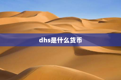 dhs是什么货币 迪拜的货币是？